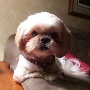 Meet your Posher, Kathy